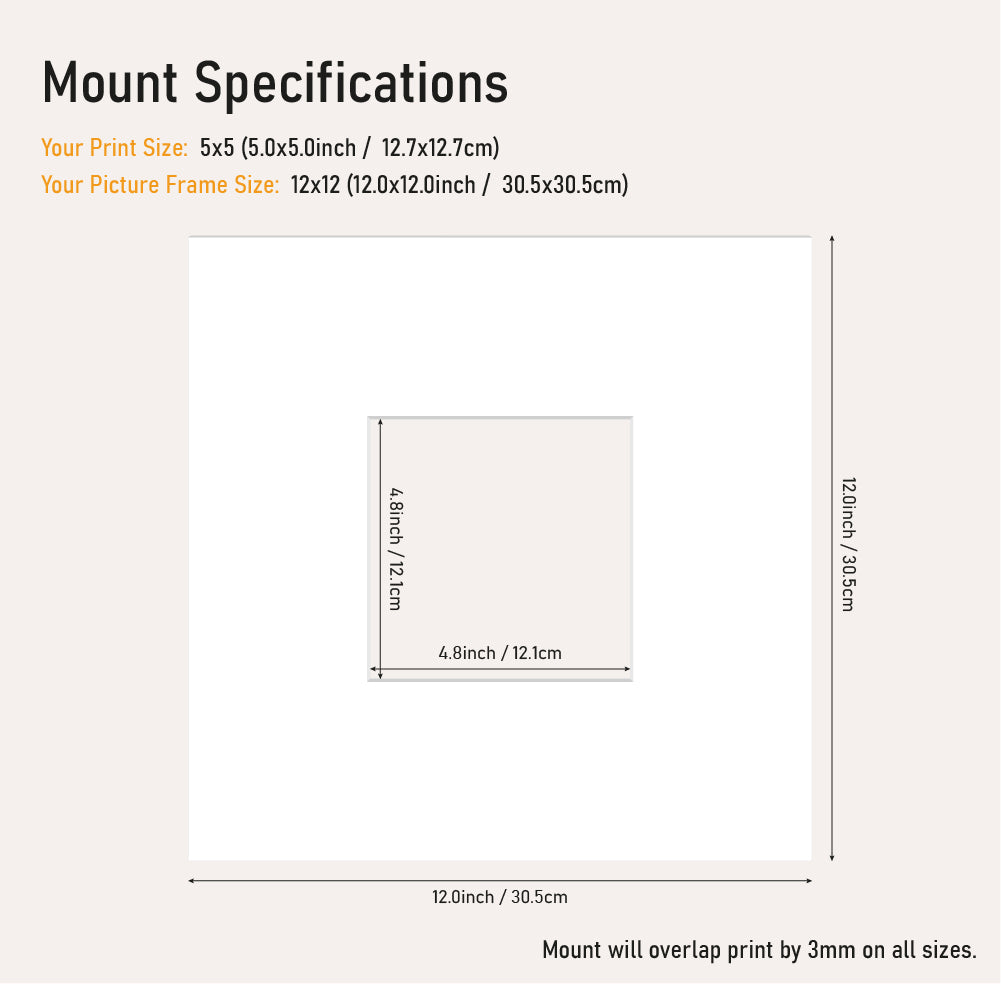 White picture mount 12x12 frame with 5x5" aperture, bevel cut mount board for small prints, wholesale framing UK