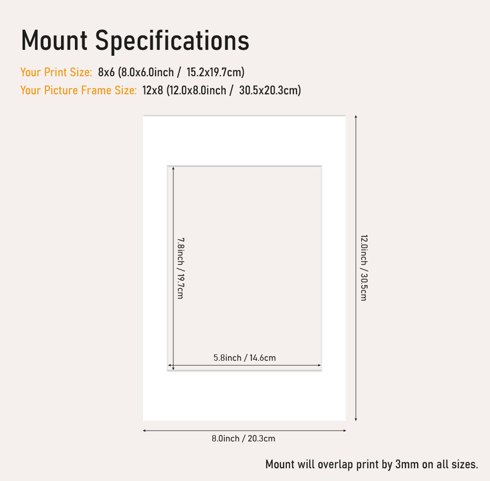 White mount board 12x8 frame with 8x6" aperture, professional picture mount for A4 prints, bulk wholesale framing UK