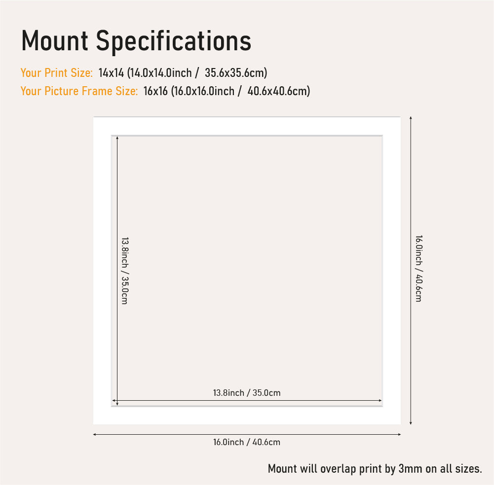 Bulk white picture mount 16x16 frame size with 14x14" aperture, bevel cut mount board for framing prints, UK supplier