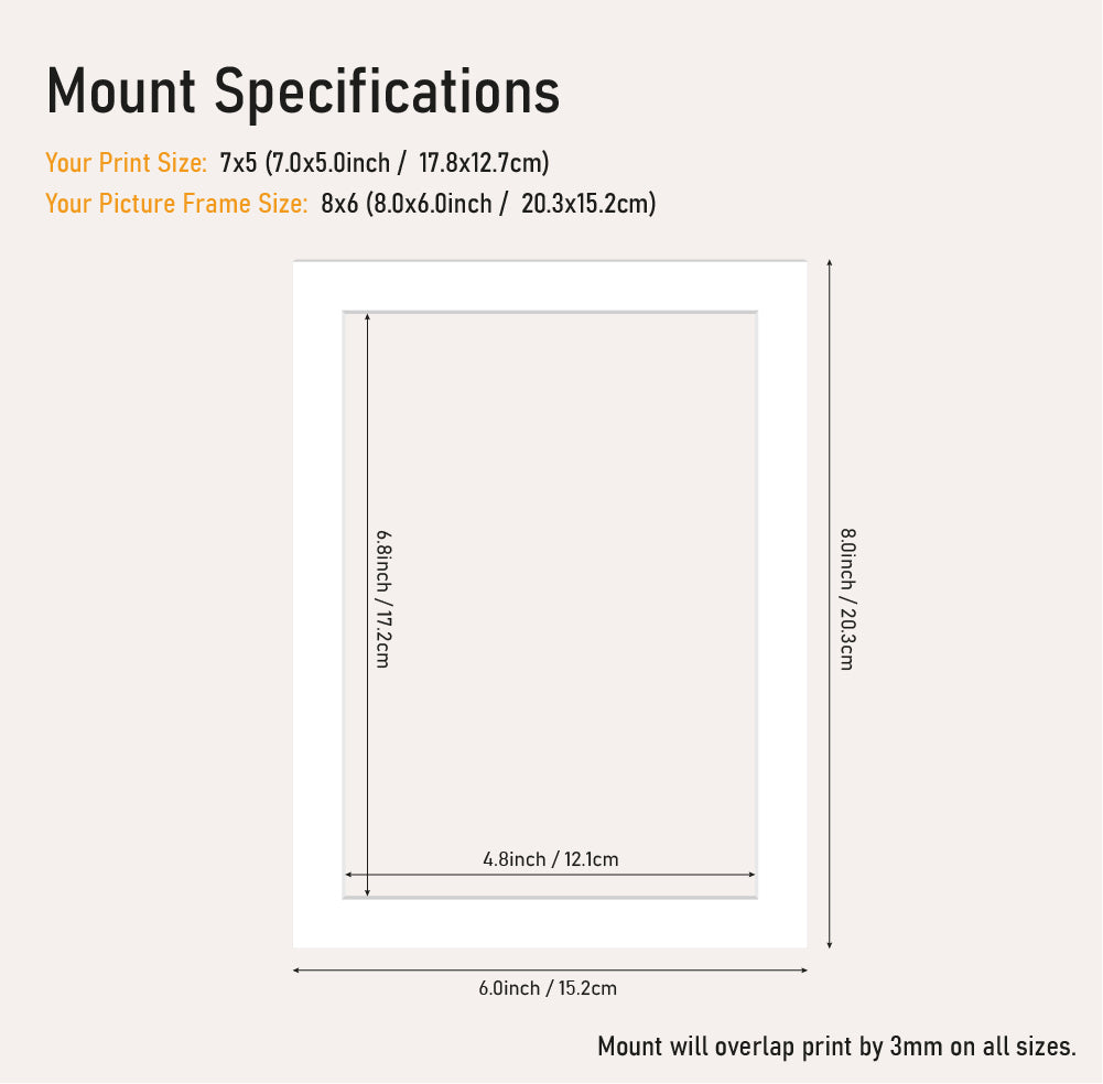 Bulk white mount board 8x6 frame with 7x5" aperture, picture framing mount for photos, trade supplier UK