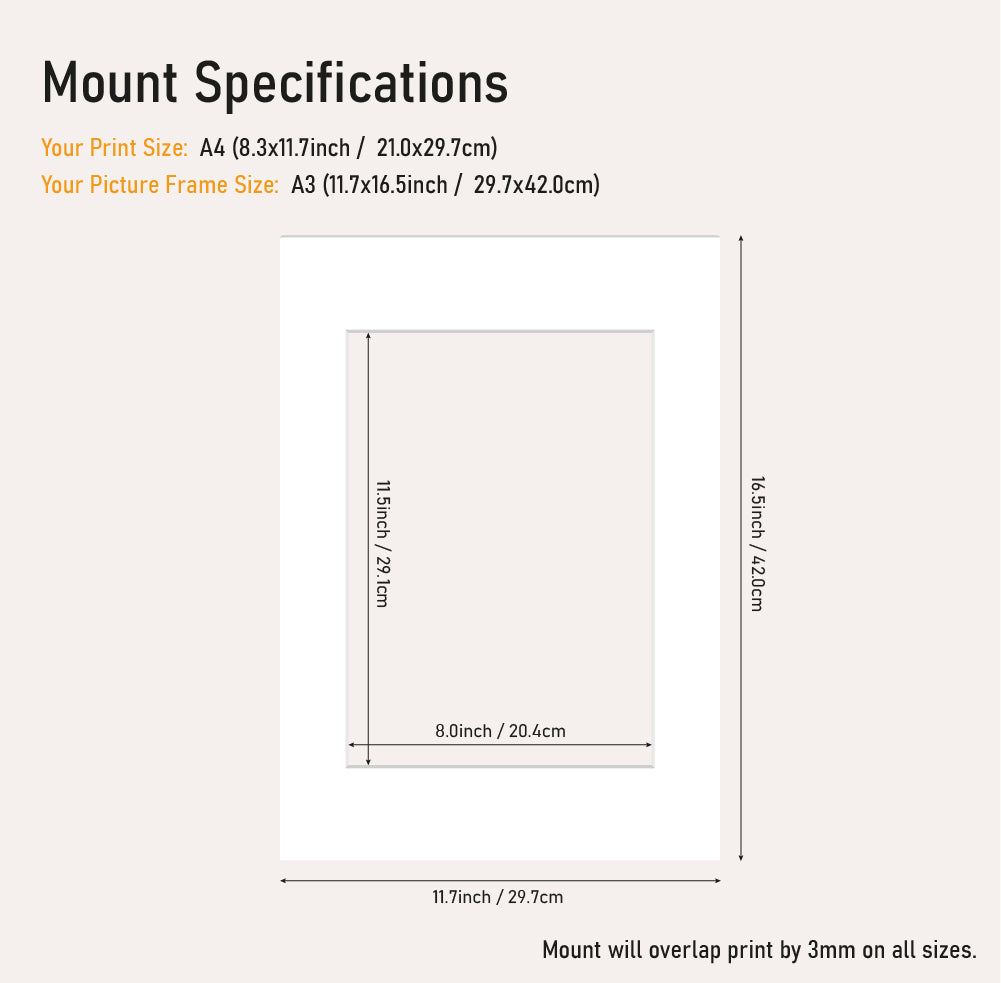 Bulk white picture mount A3 frame size with A4 aperture, bevel cut mount board for framing prints, UK supplier