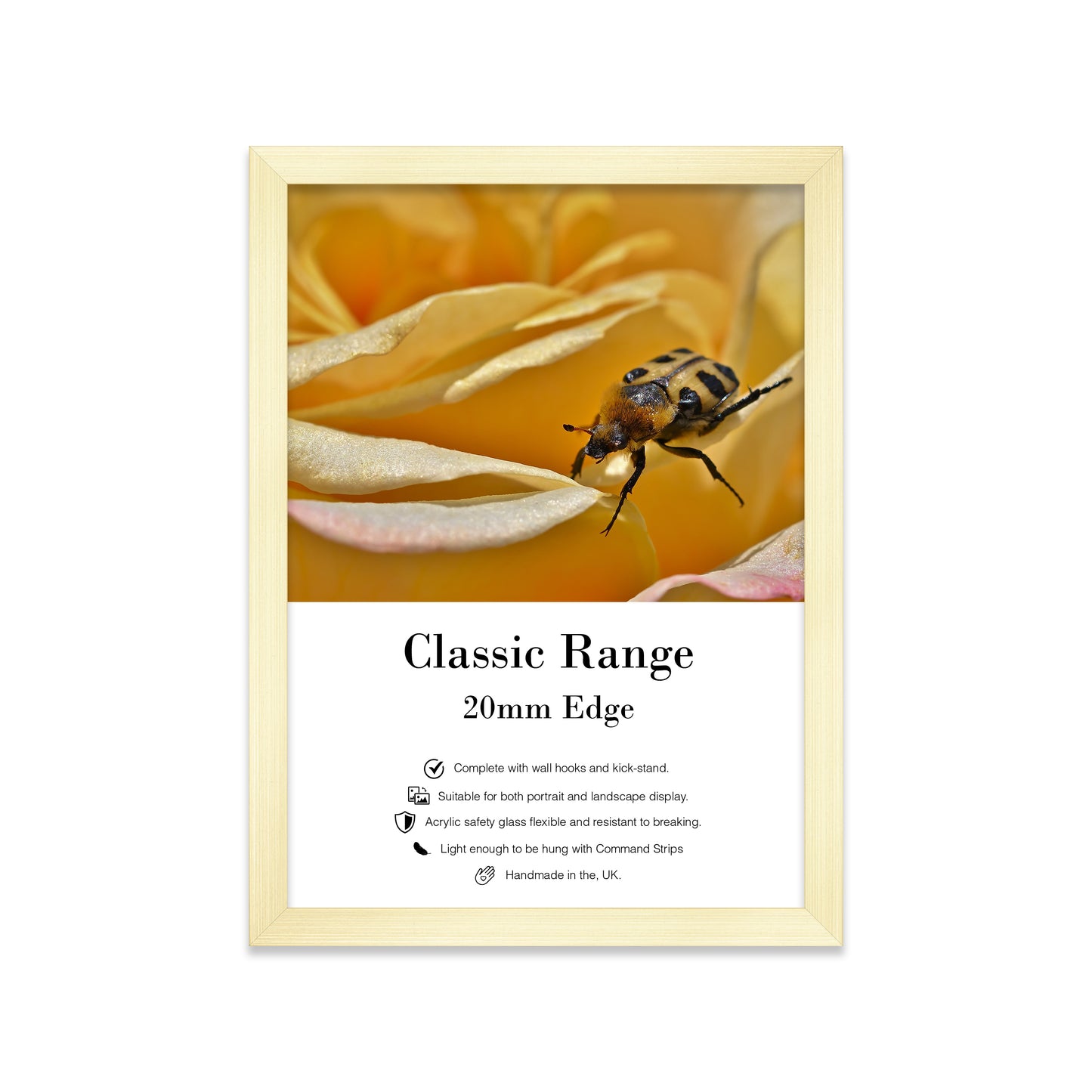 Wholesale GLD Picture Frames Bulk Trade supplier UK Made for retail